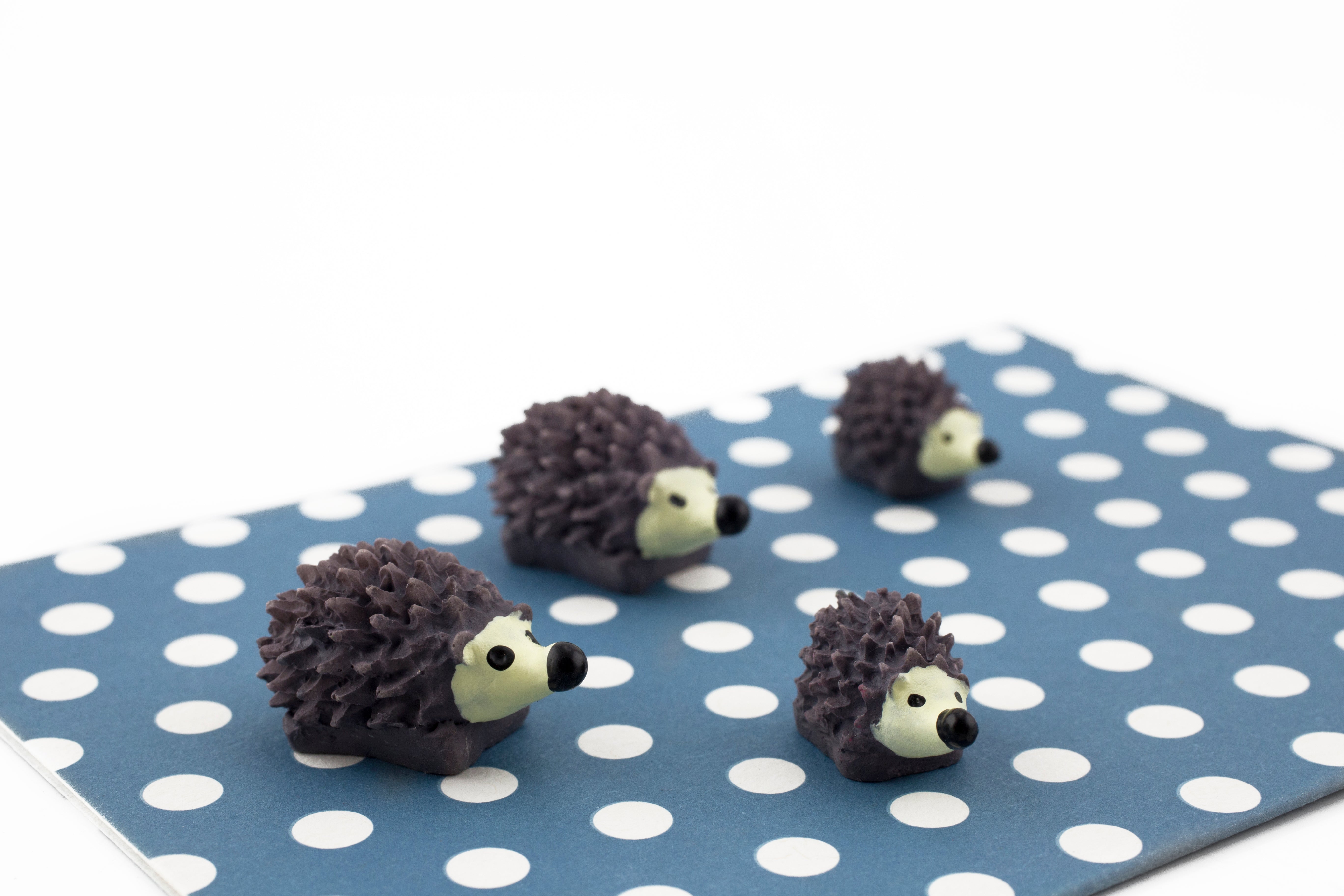 colorful hedgehog magnets