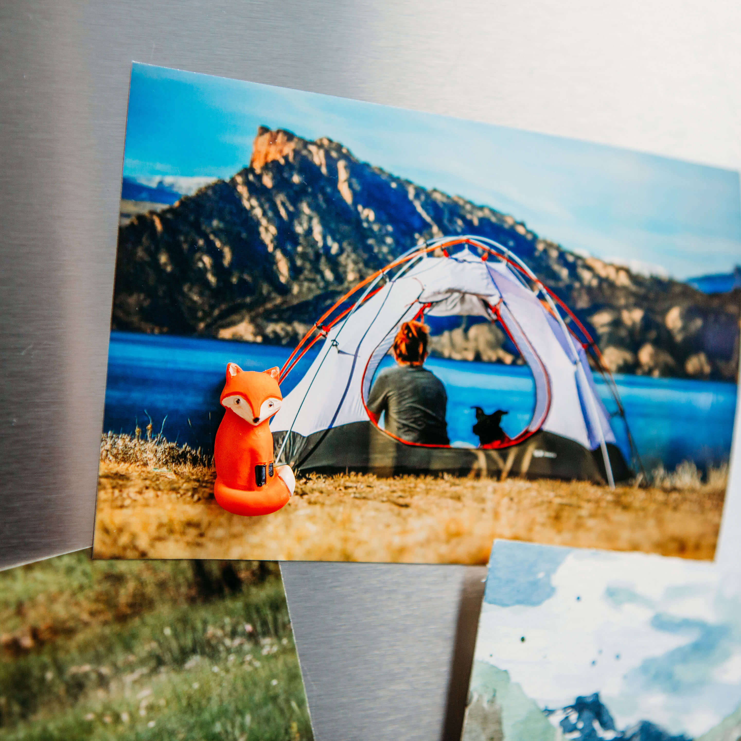 colorful FOX magnets s/4