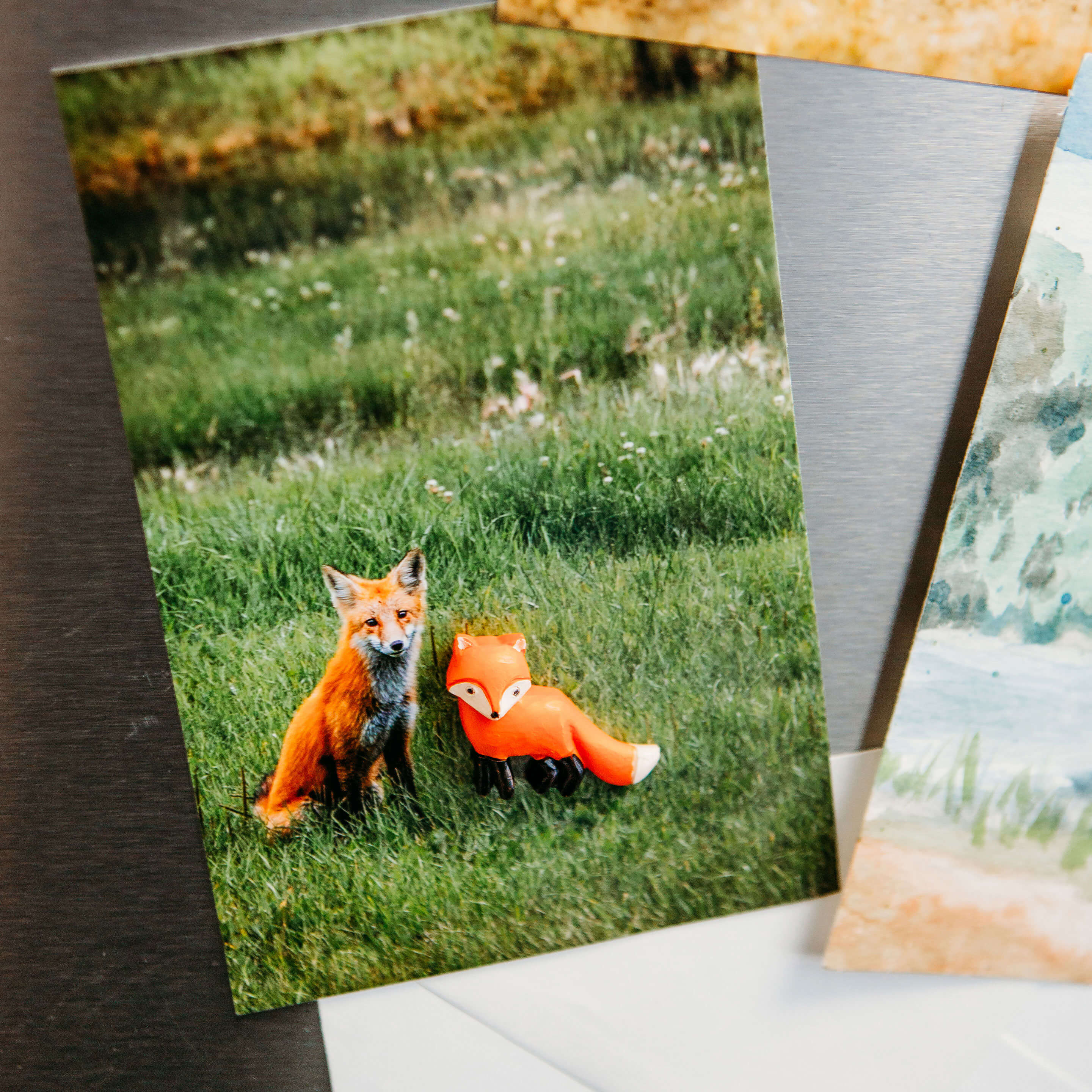 colorful FOX magnets s/4