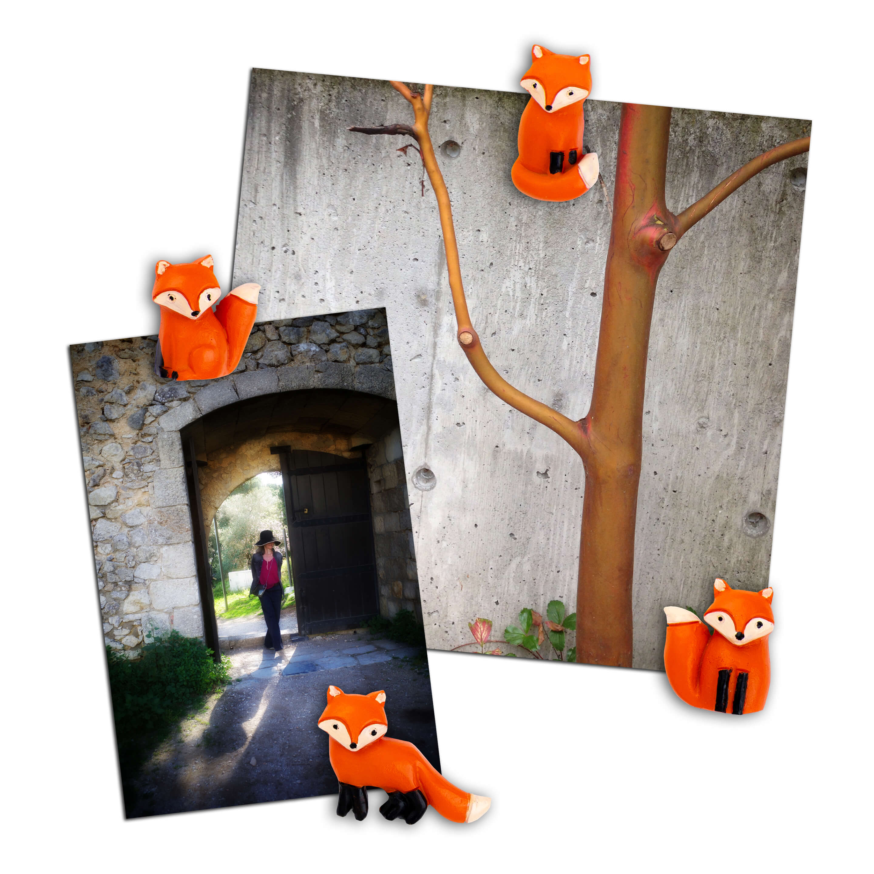 colorful FOX magnets s/4