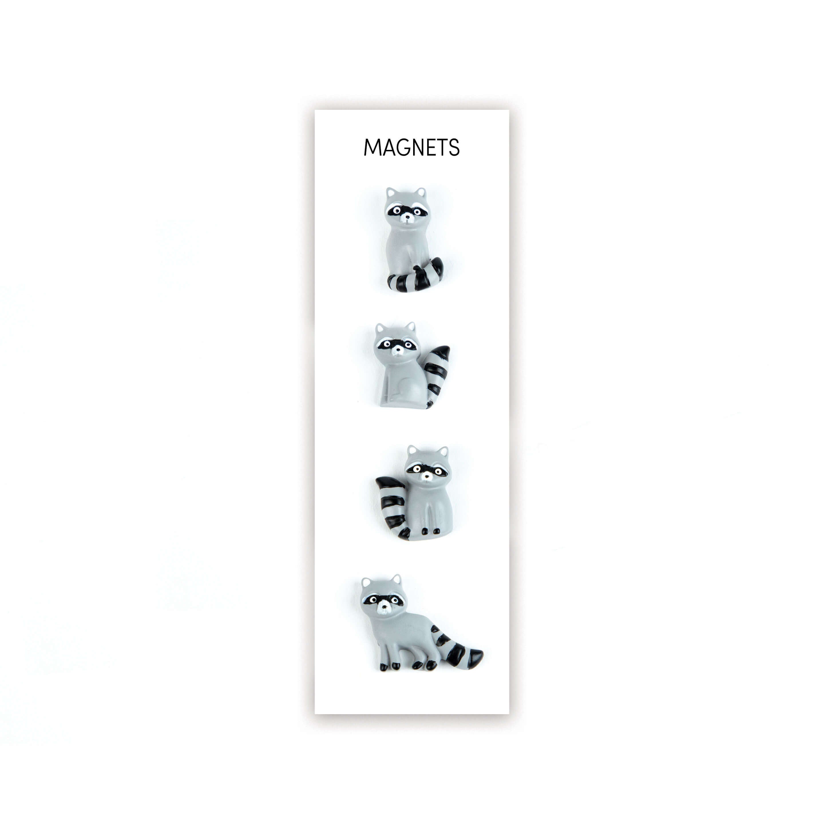 colorful RACOON magnets s/4
