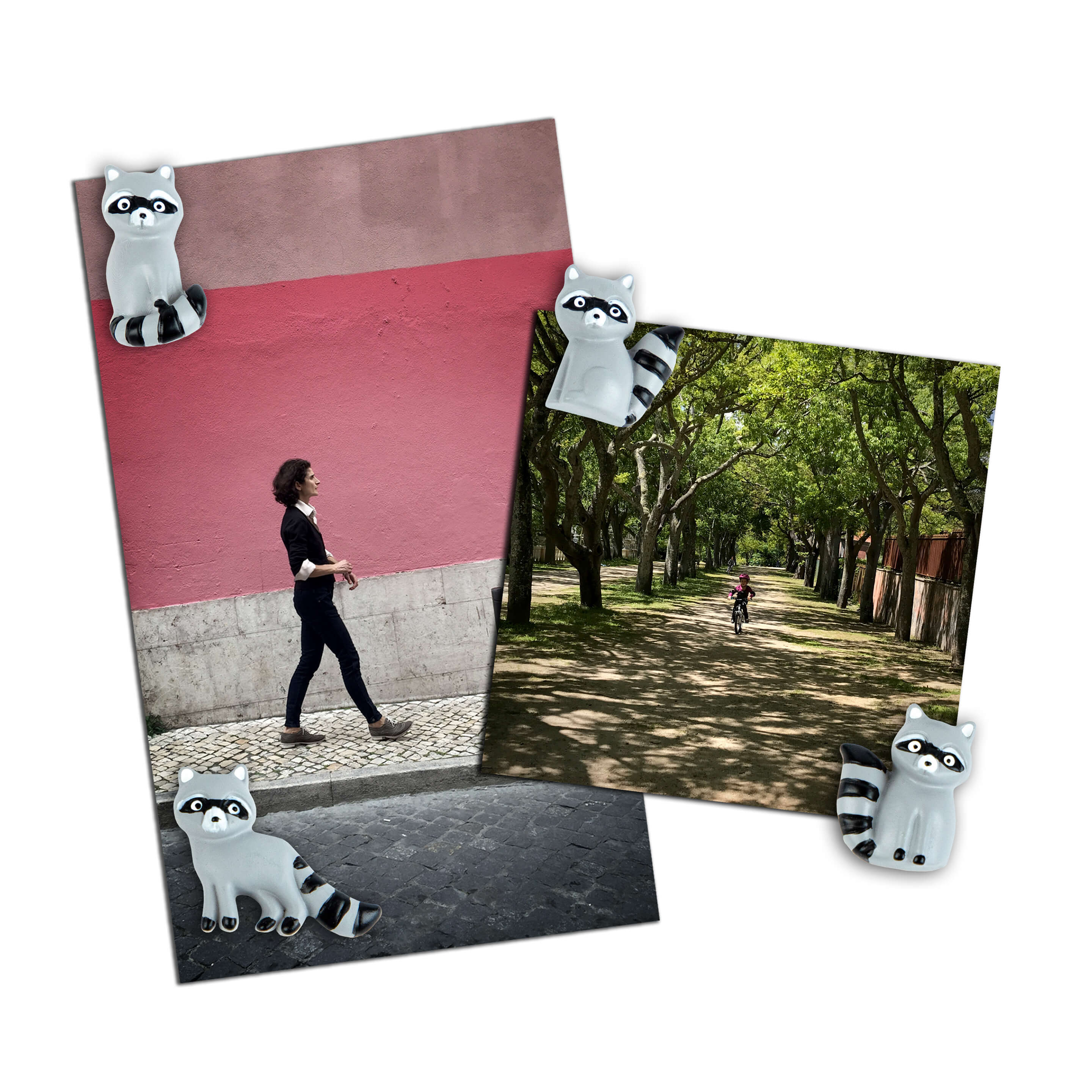 colorful RACOON magnets s/4