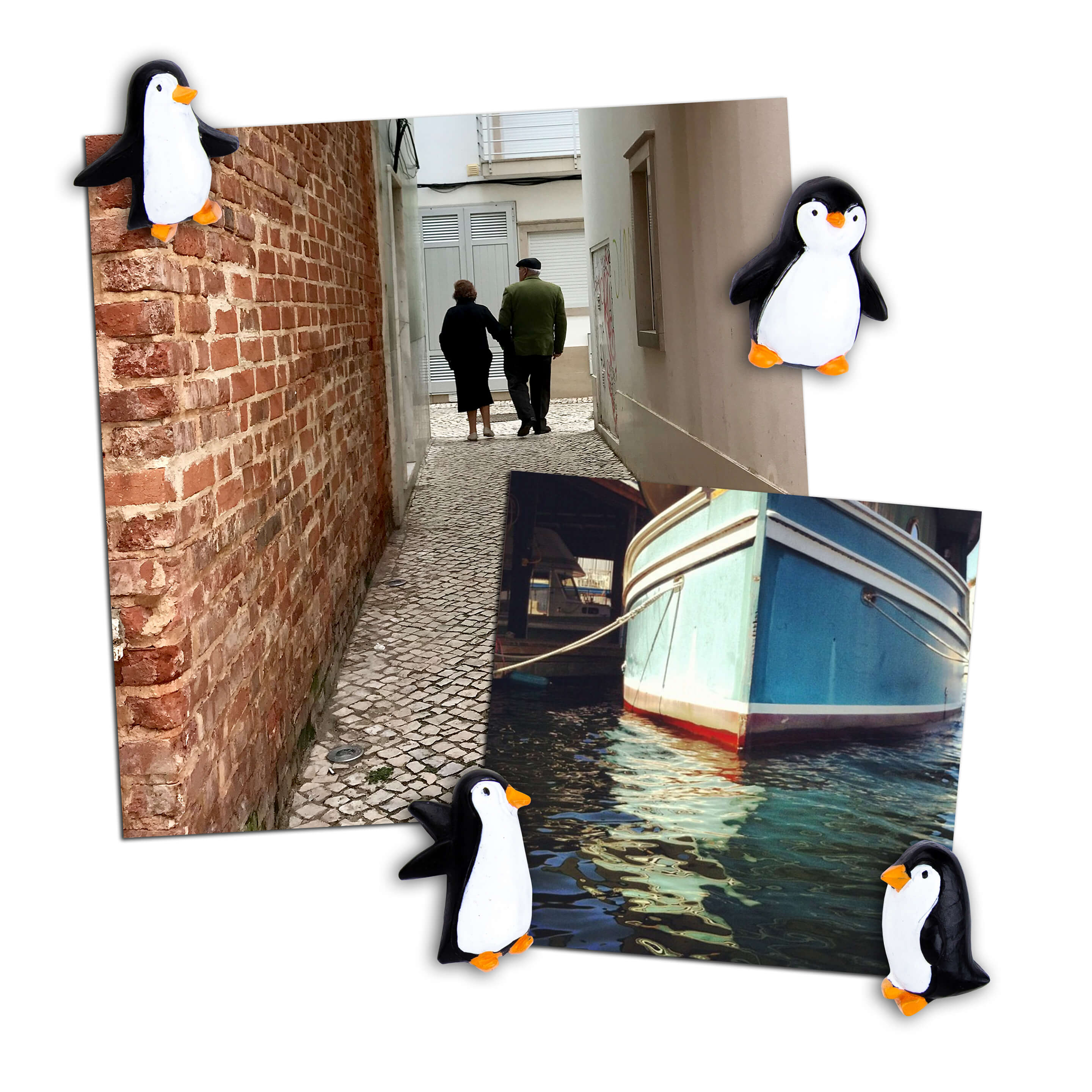 colorful PENGUIN magnets s/4