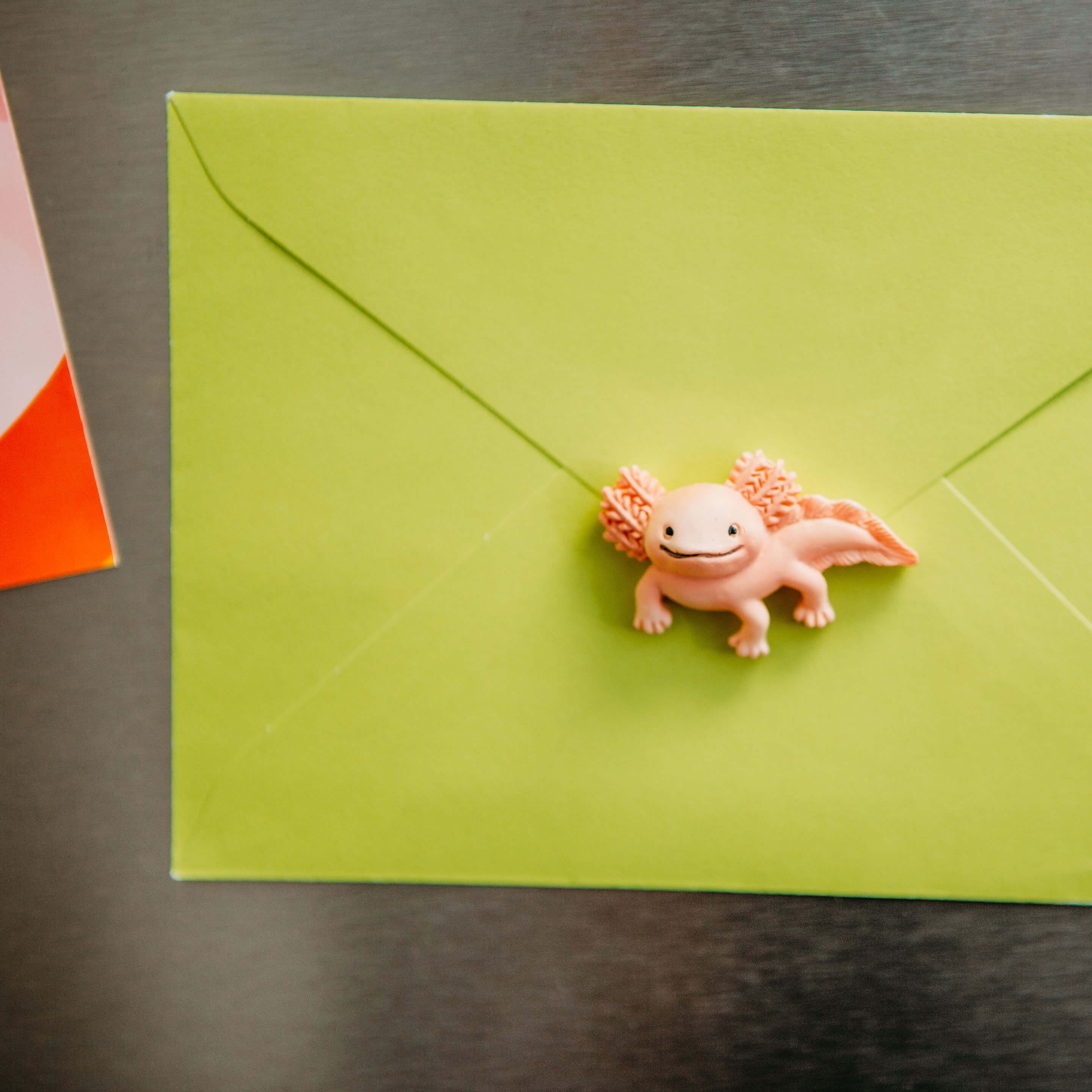 colorful AXOLOTL magnets s/4