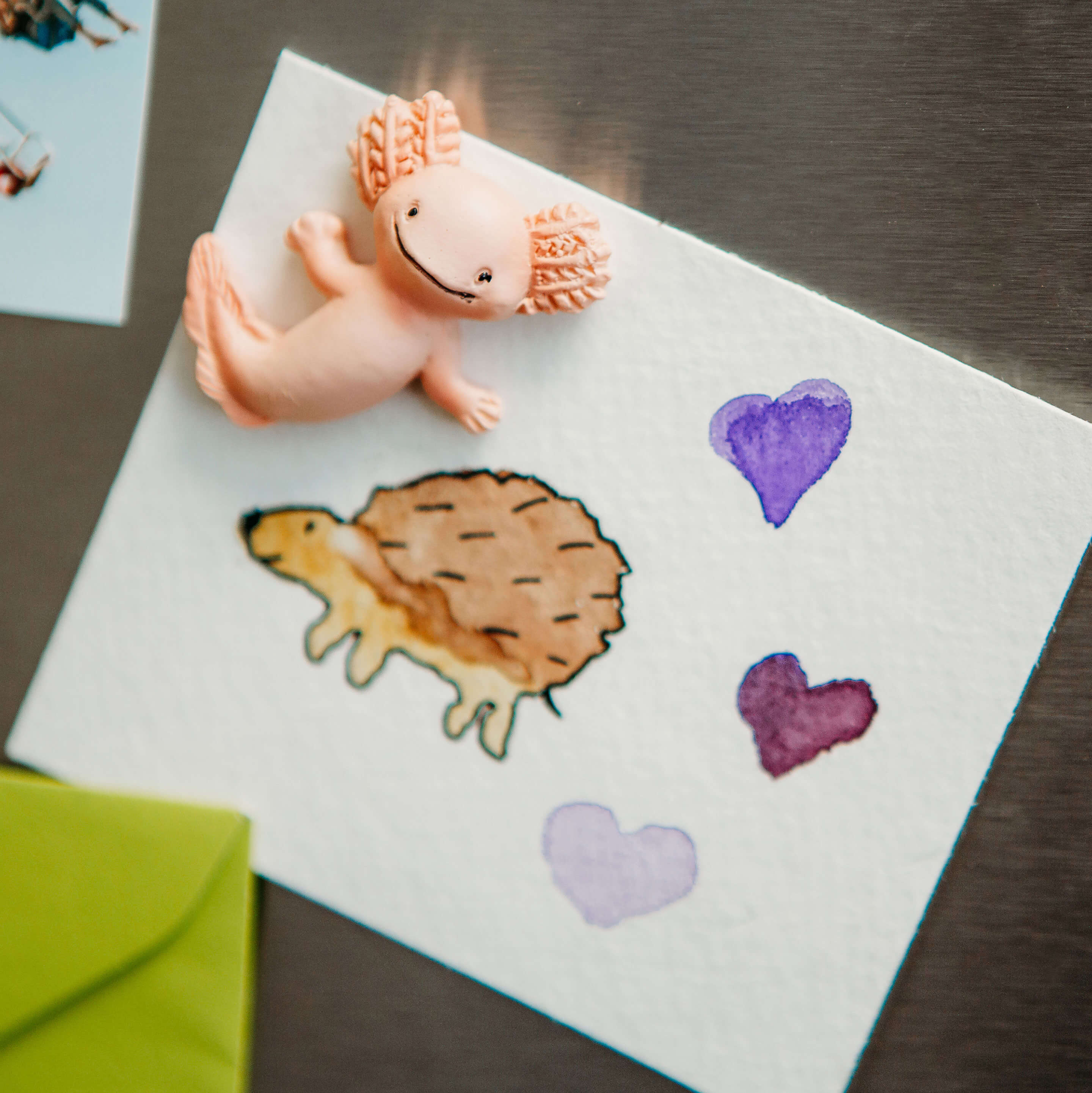colorful AXOLOTL magnets s/4