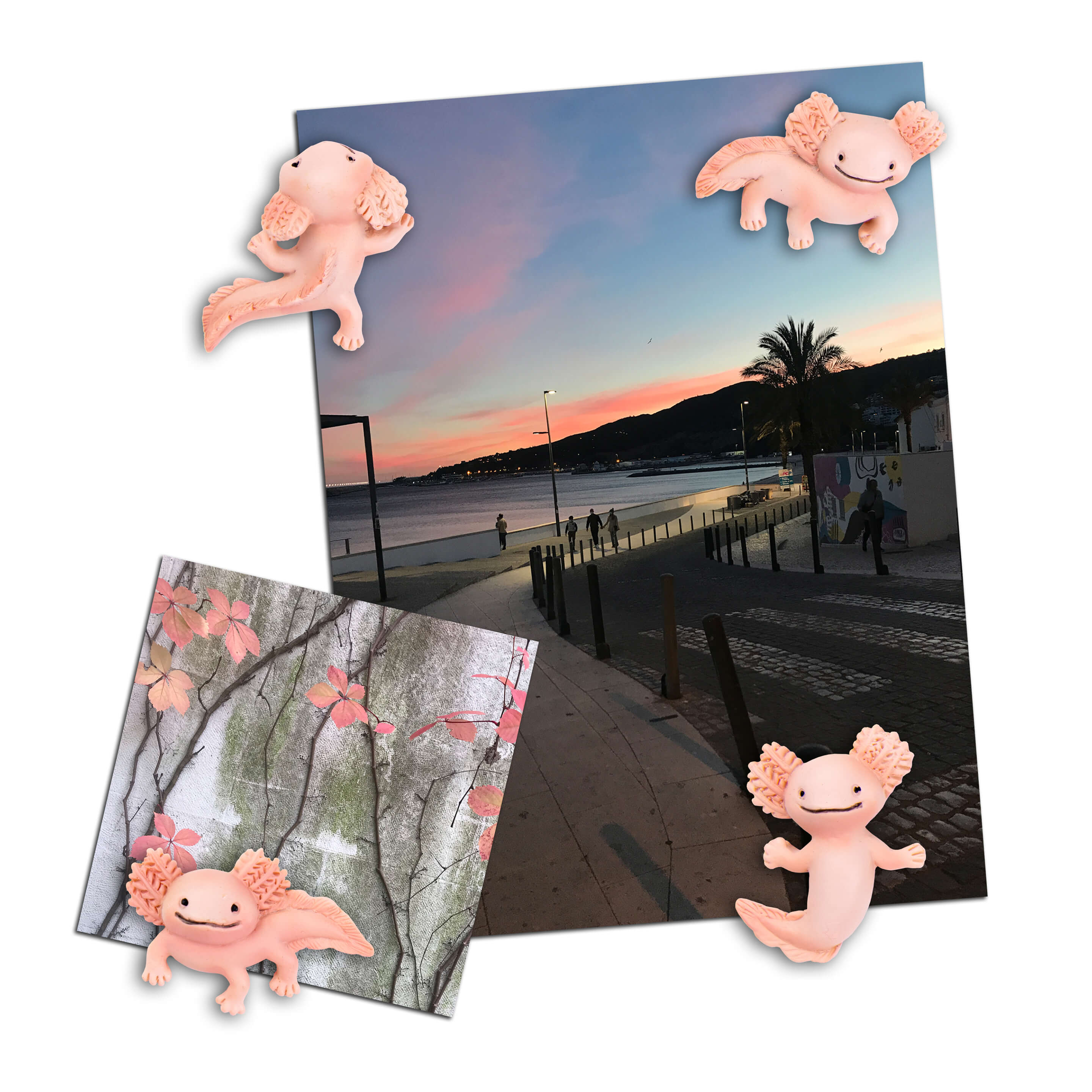 colorful AXOLOTL magnets s/4