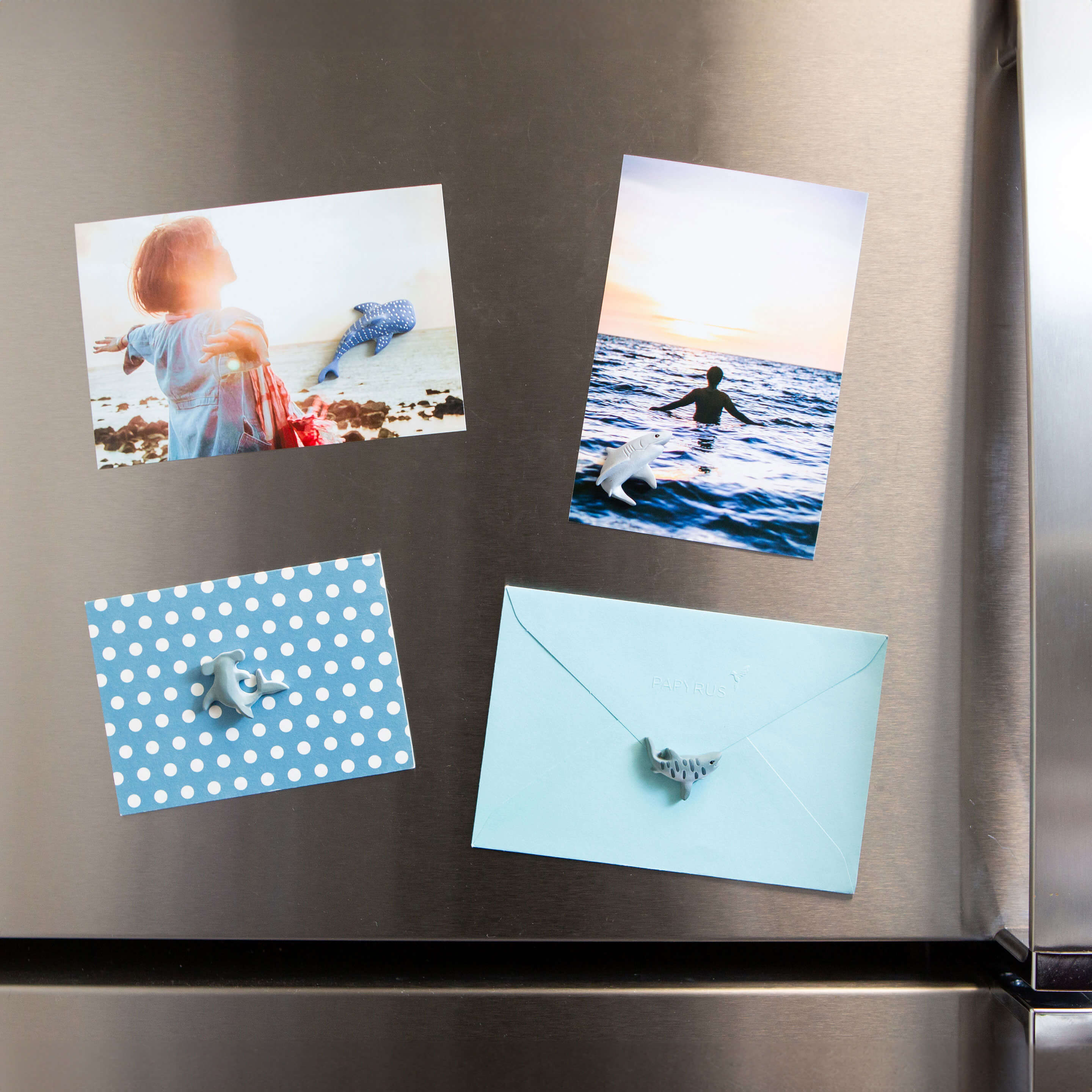colorful SHARK magnets s/4