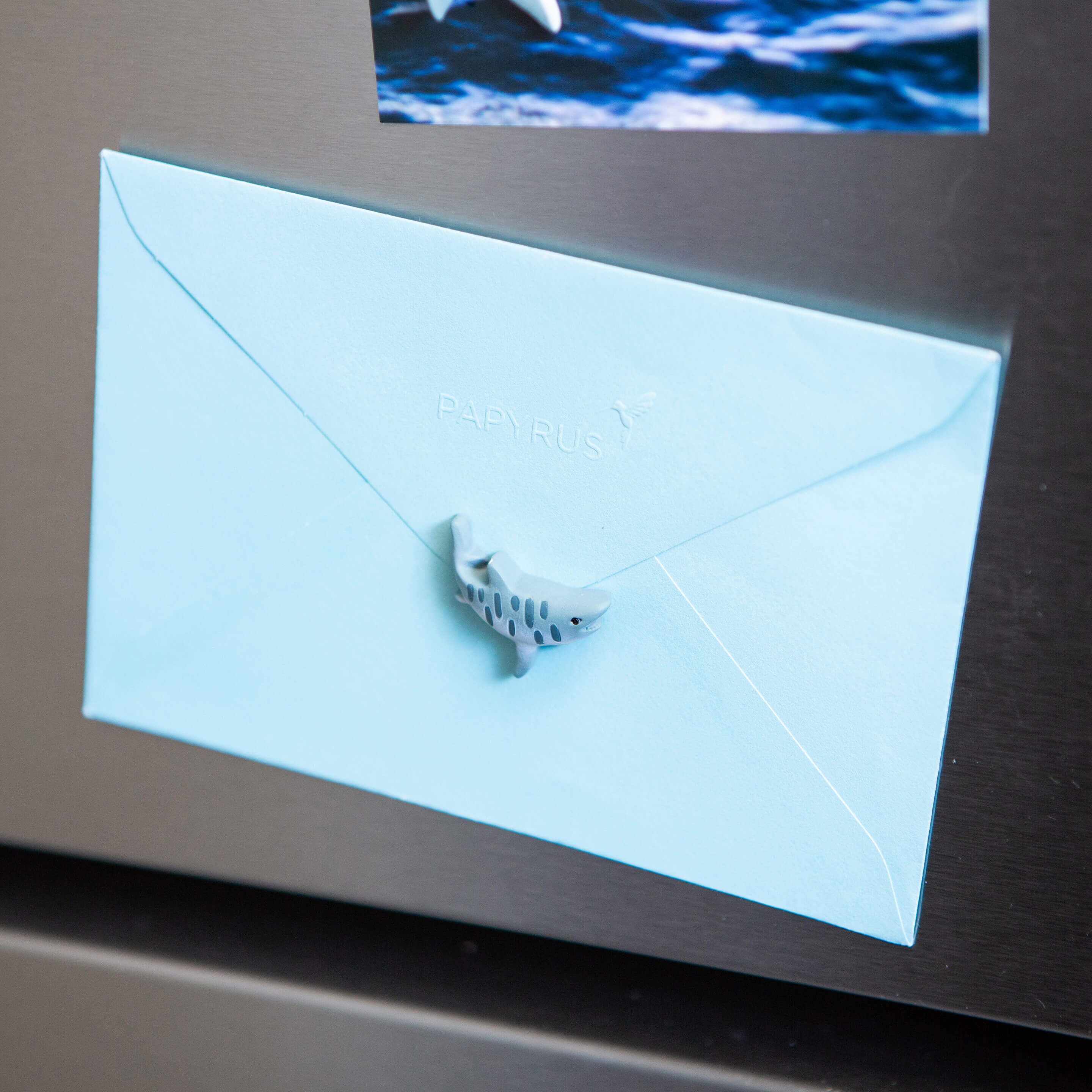 colorful SHARK magnets s/4