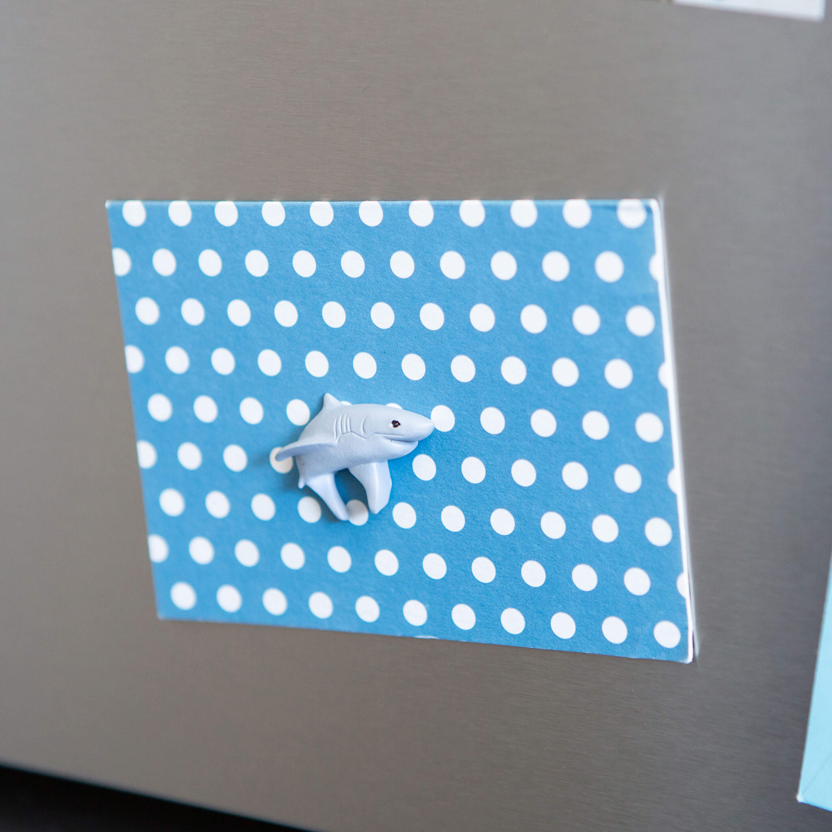 colorful SHARK magnets s/4