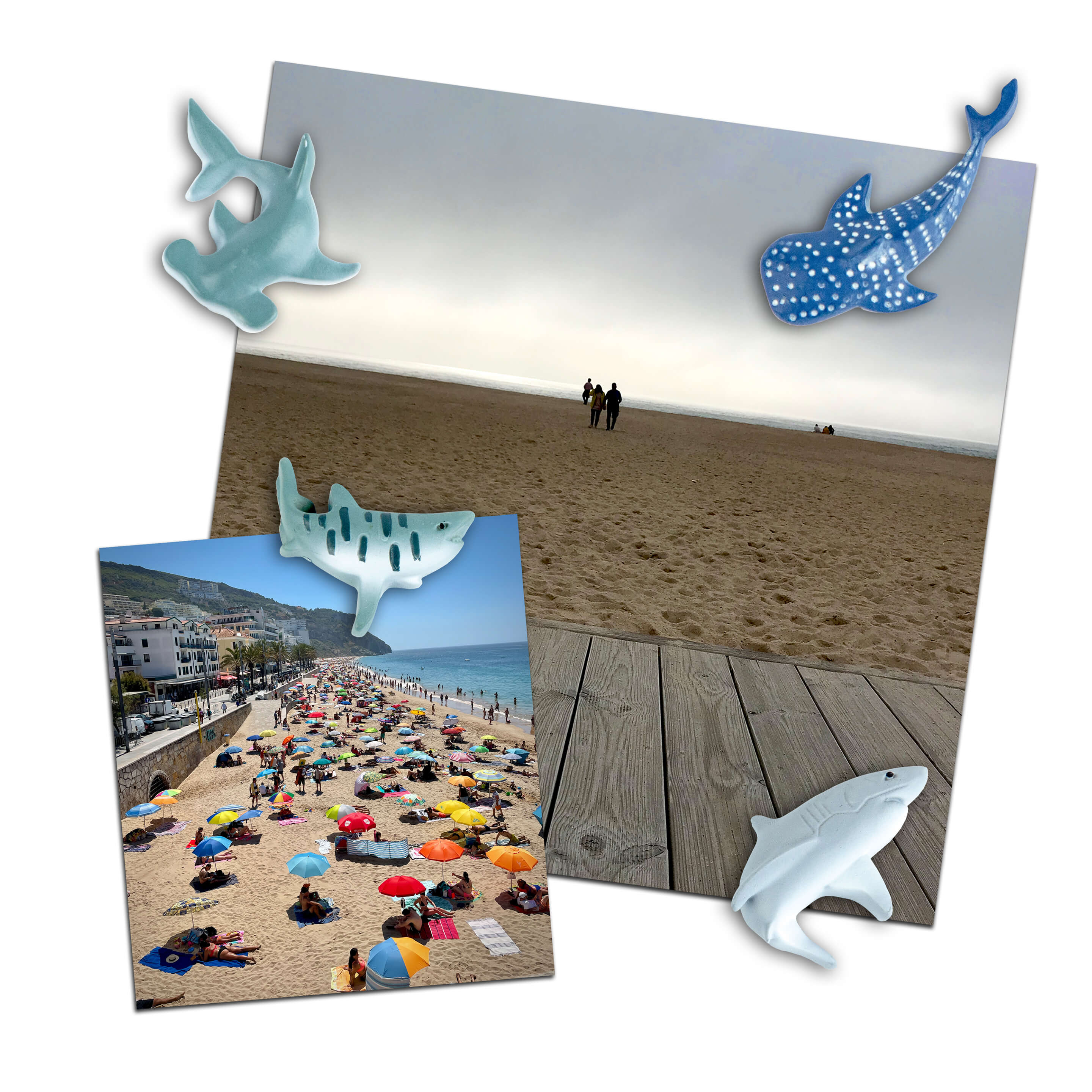 colorful SHARK magnets s/4
