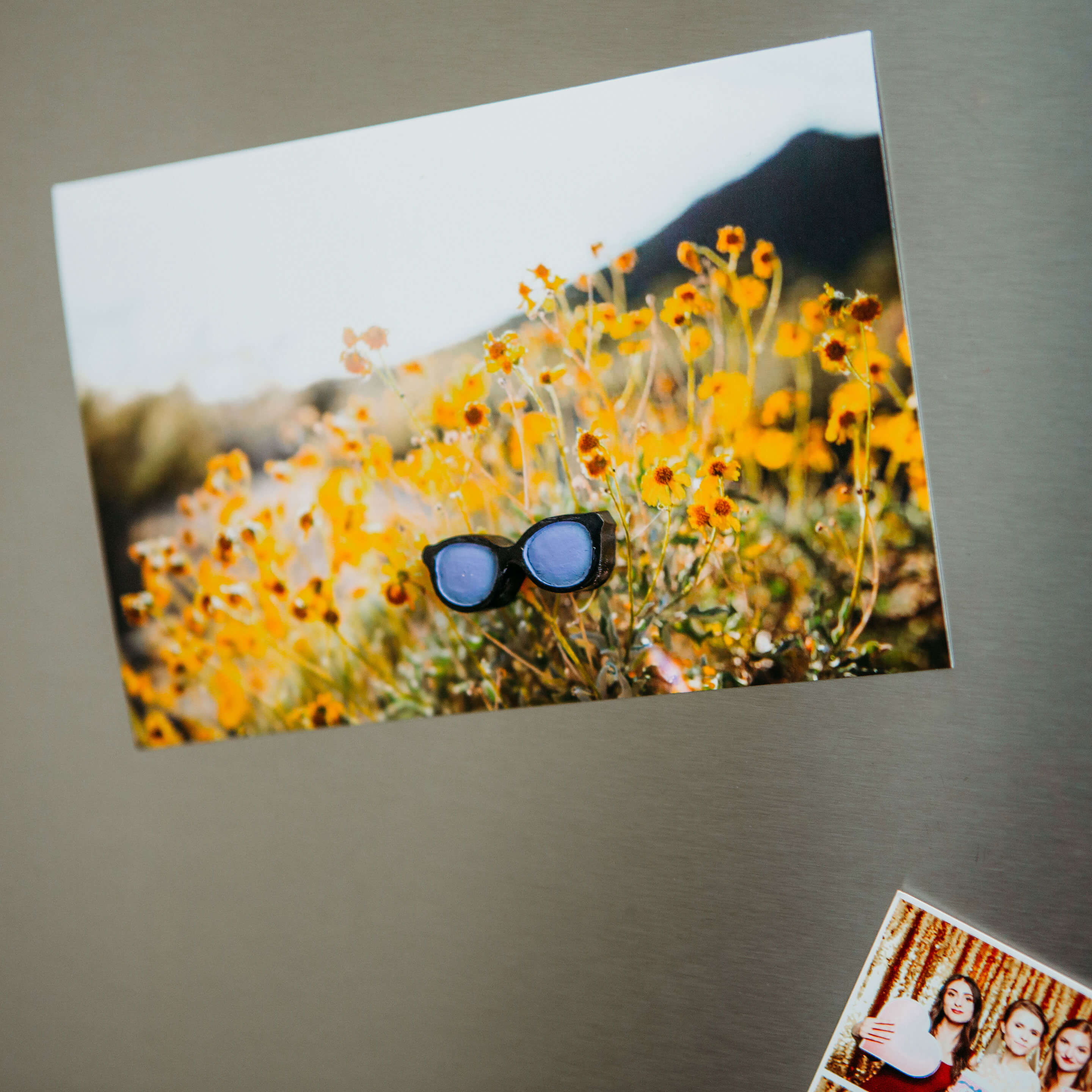 colorful SUNGLASSES magnets s/5