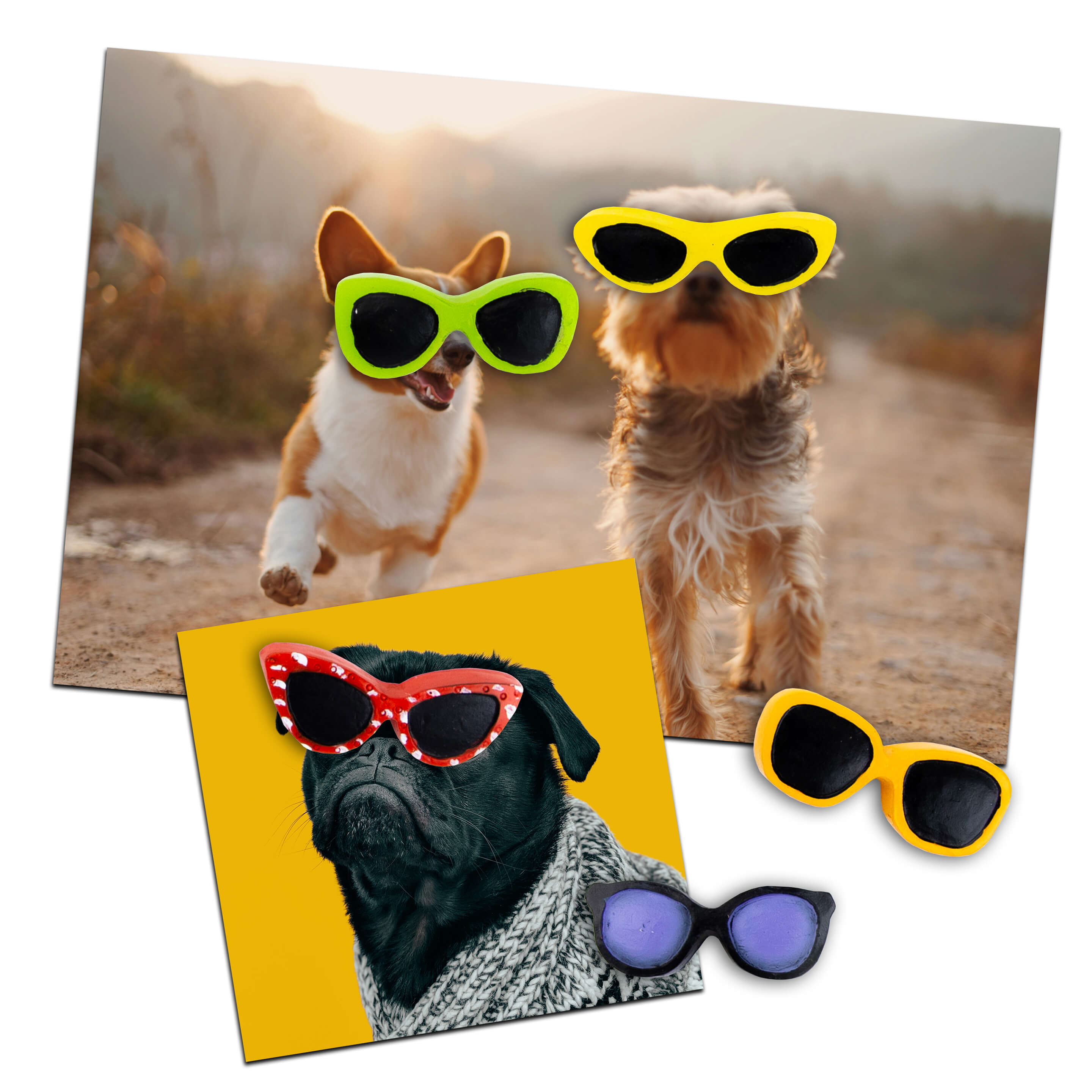 colorful SUNGLASSES magnets s/5