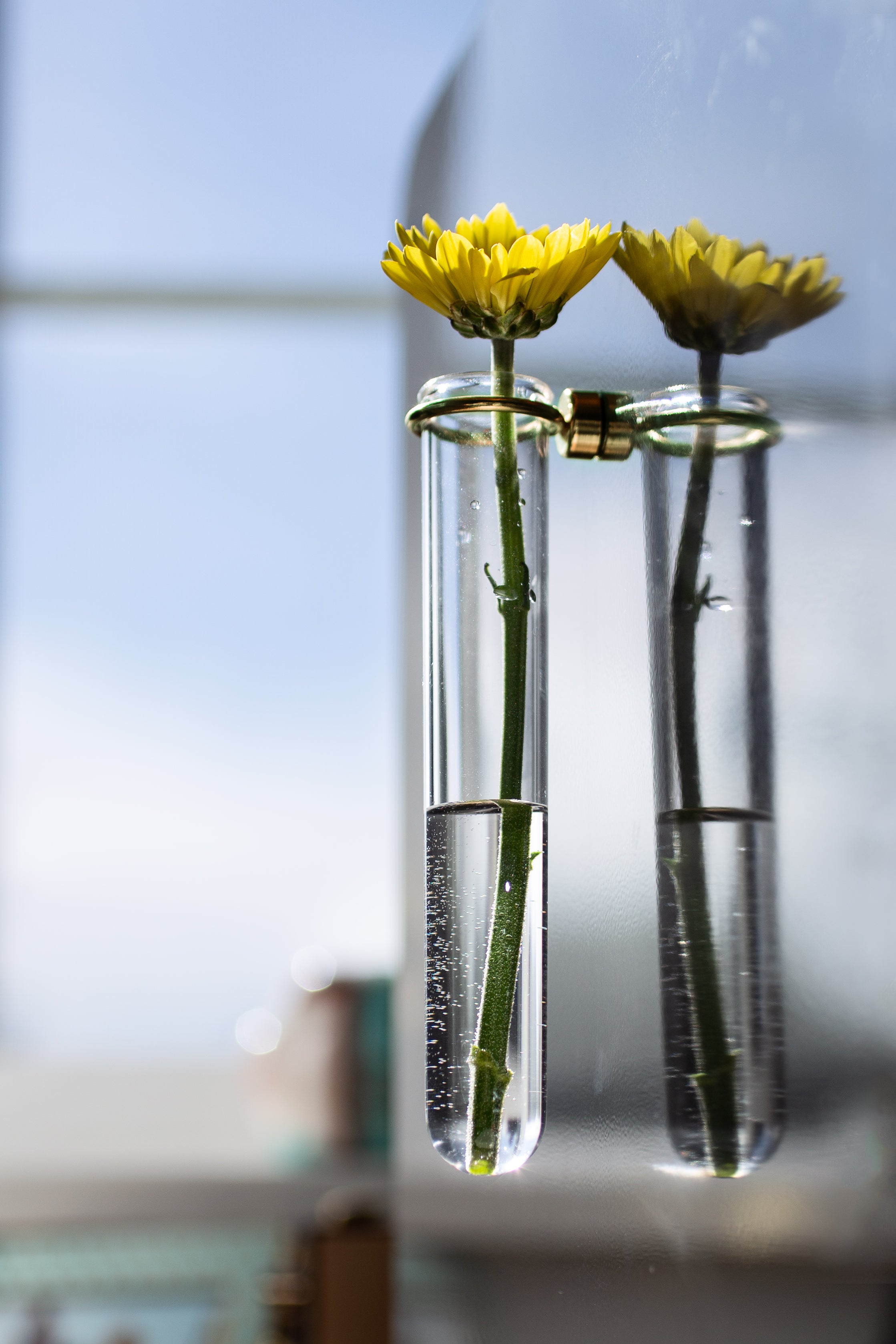 magnetic clear vase gold