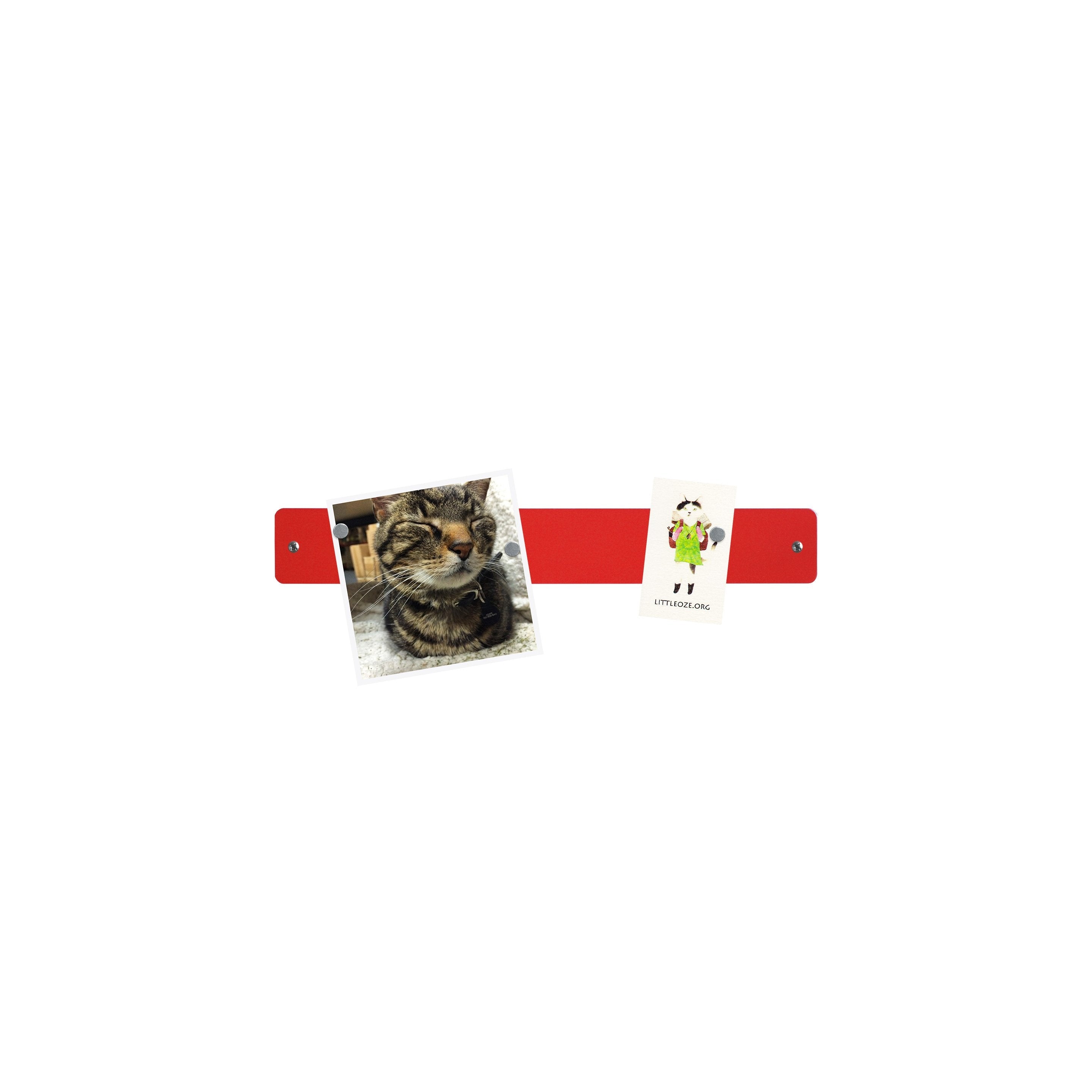 mini magnetic strip bulletin board