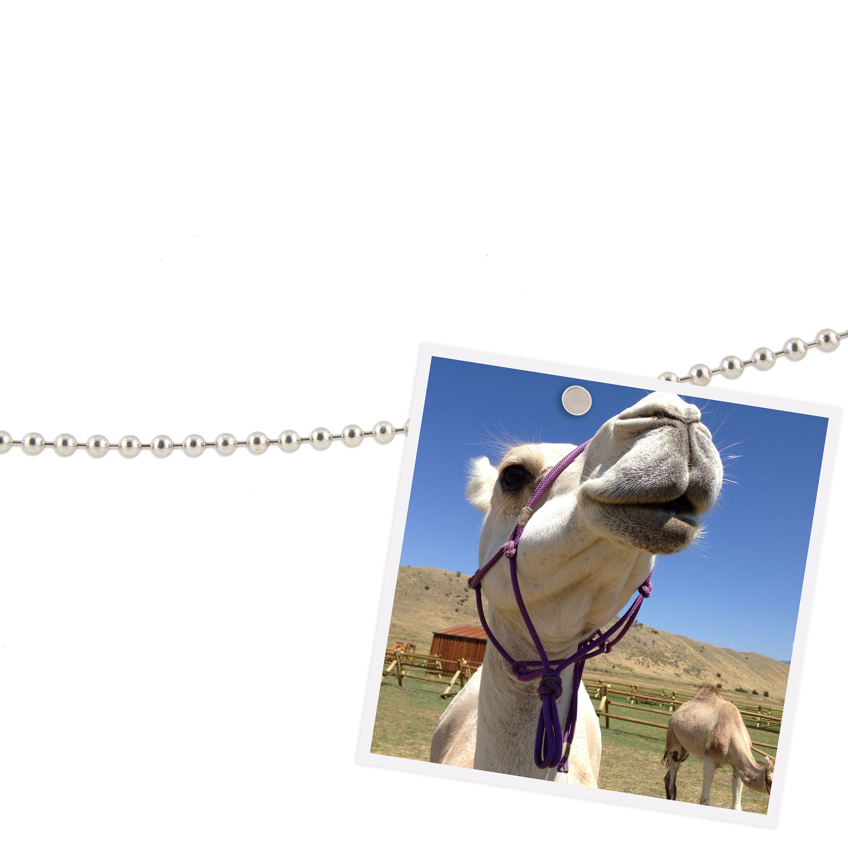 chained·up!™ SILVER magnet display