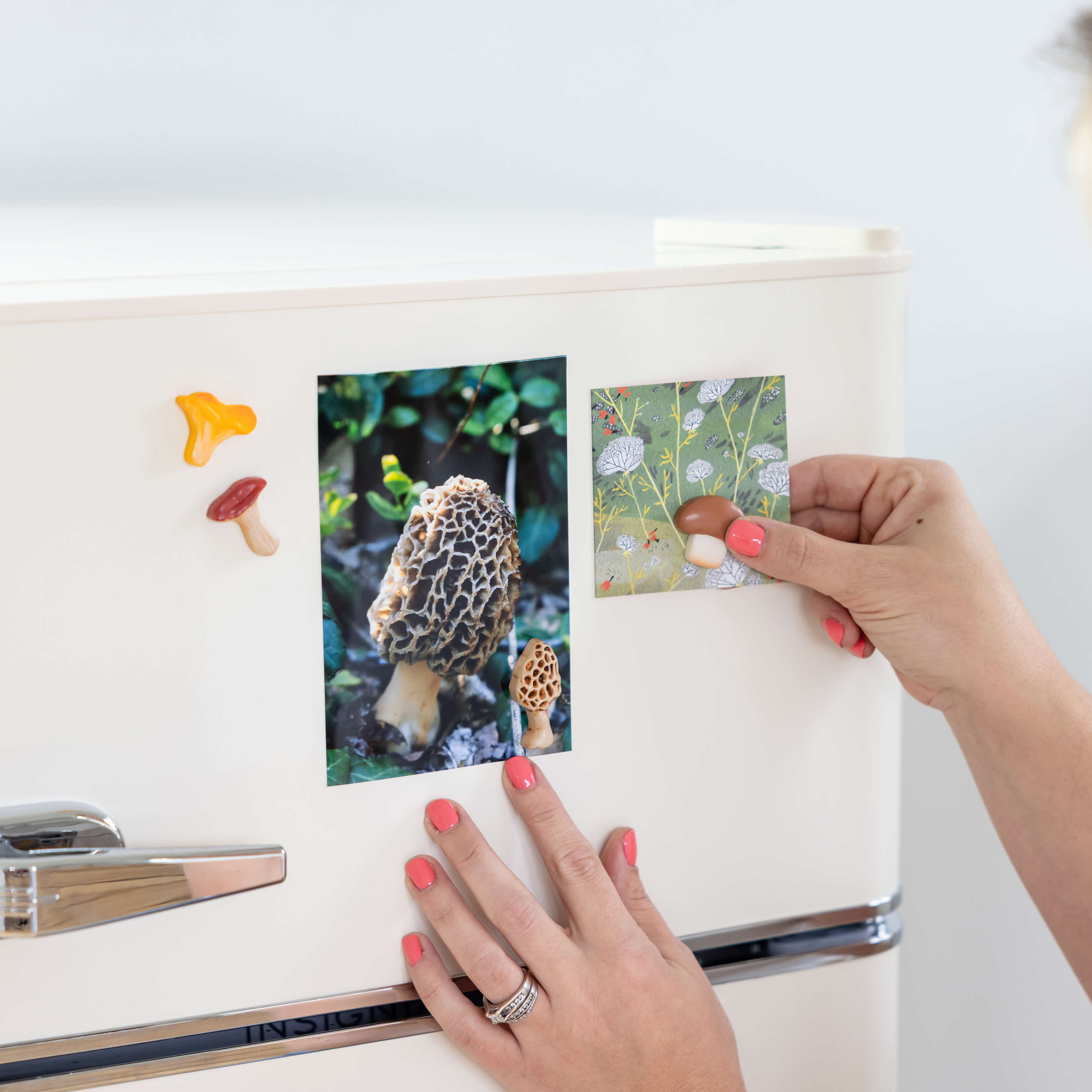 mushroom magnets