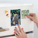 Aimants Décoratifs Champignons Pour Frigo - PVC, Environ 6 Cm, Multicolores, Faciles à Nettoyer, Décoration Bureau Ou Maison - 5