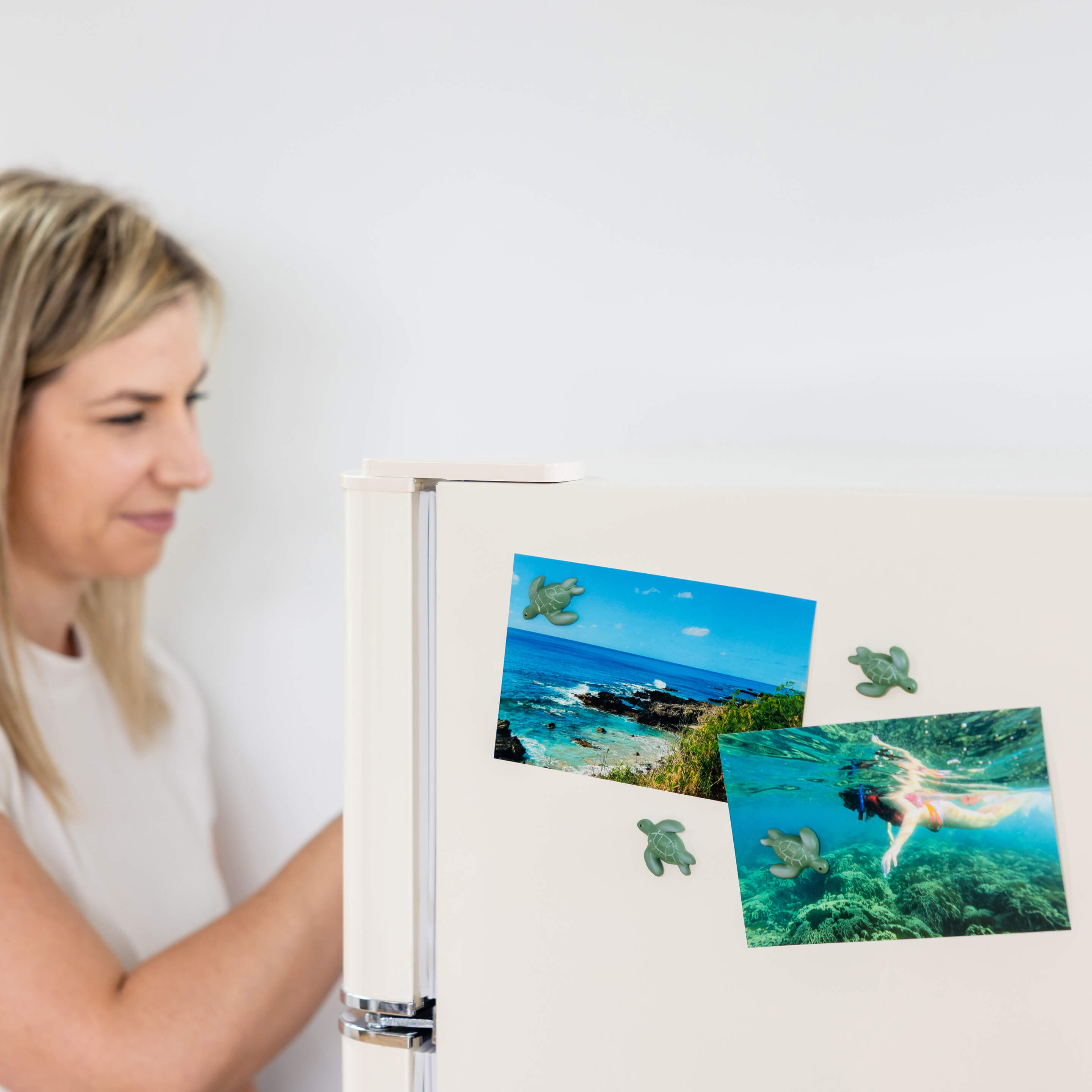 turtle magnets