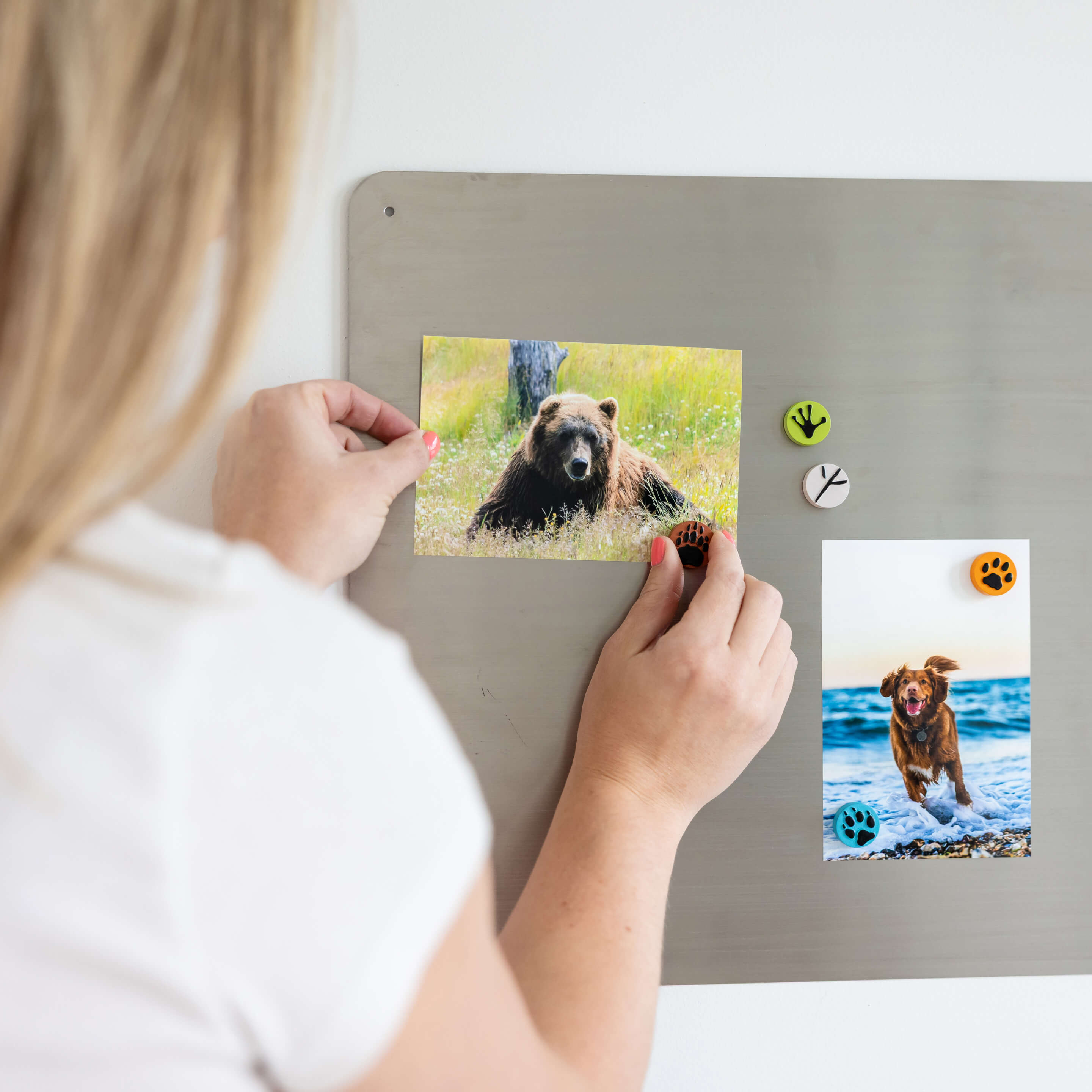 paw print magnets