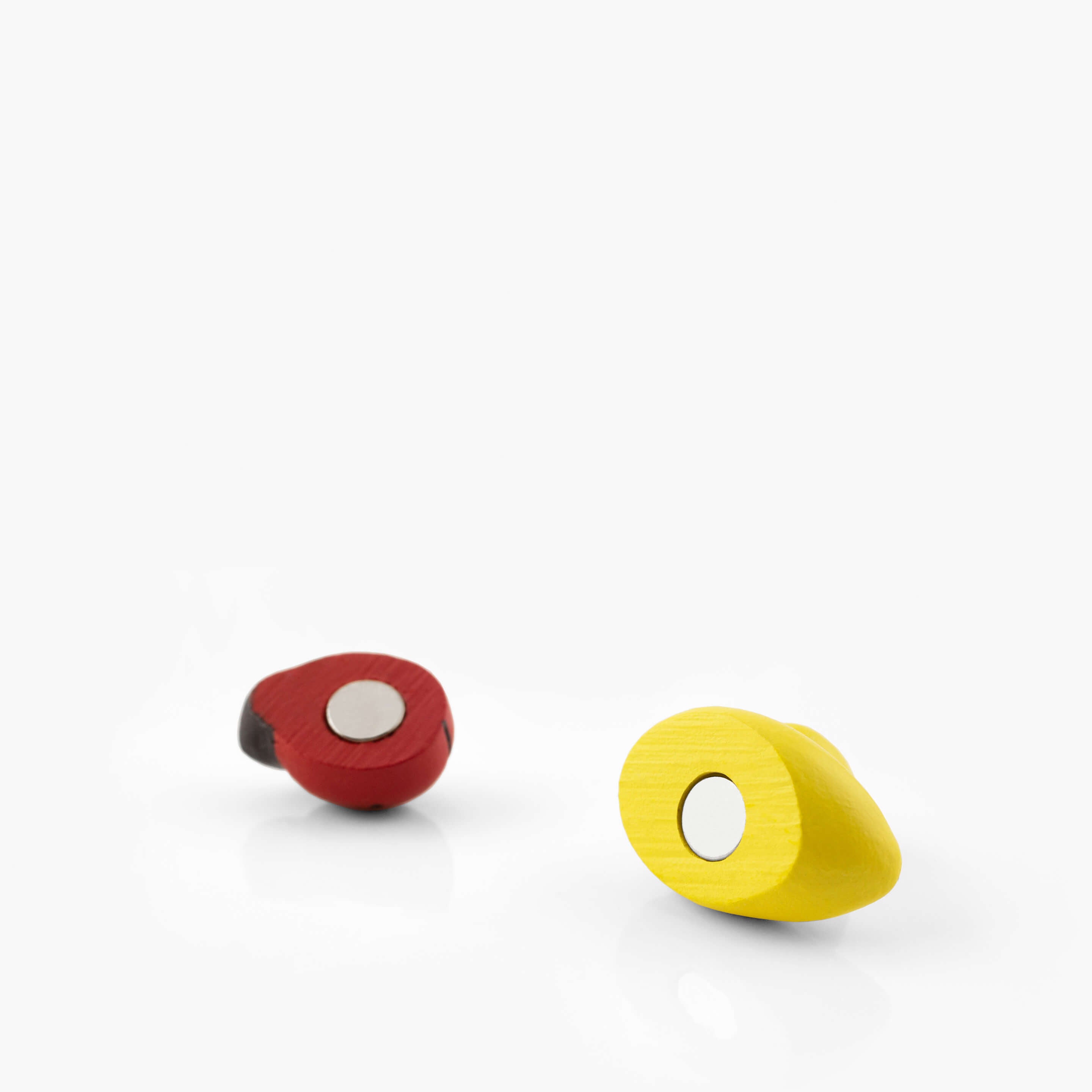 colorful ladybug magnets