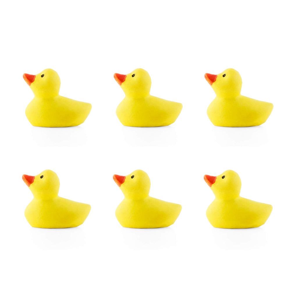 colorful duck magnets – three by three seattle