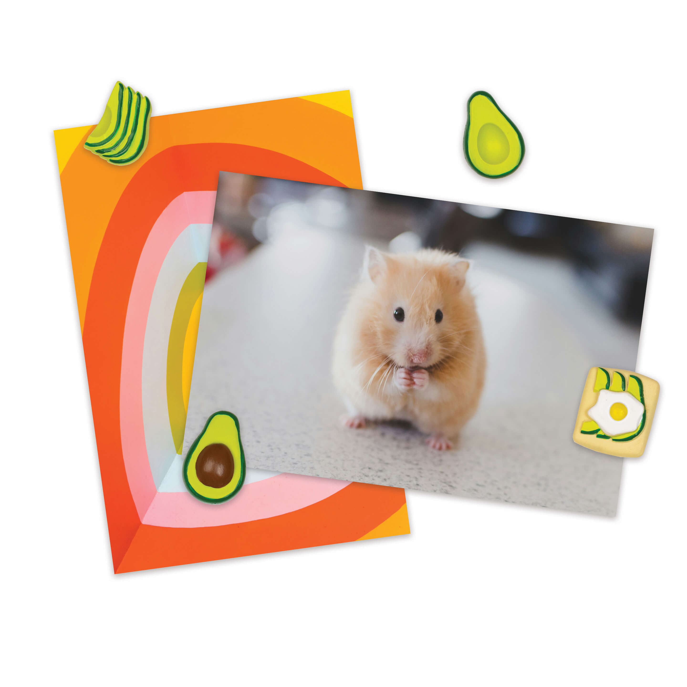 avocado magnets