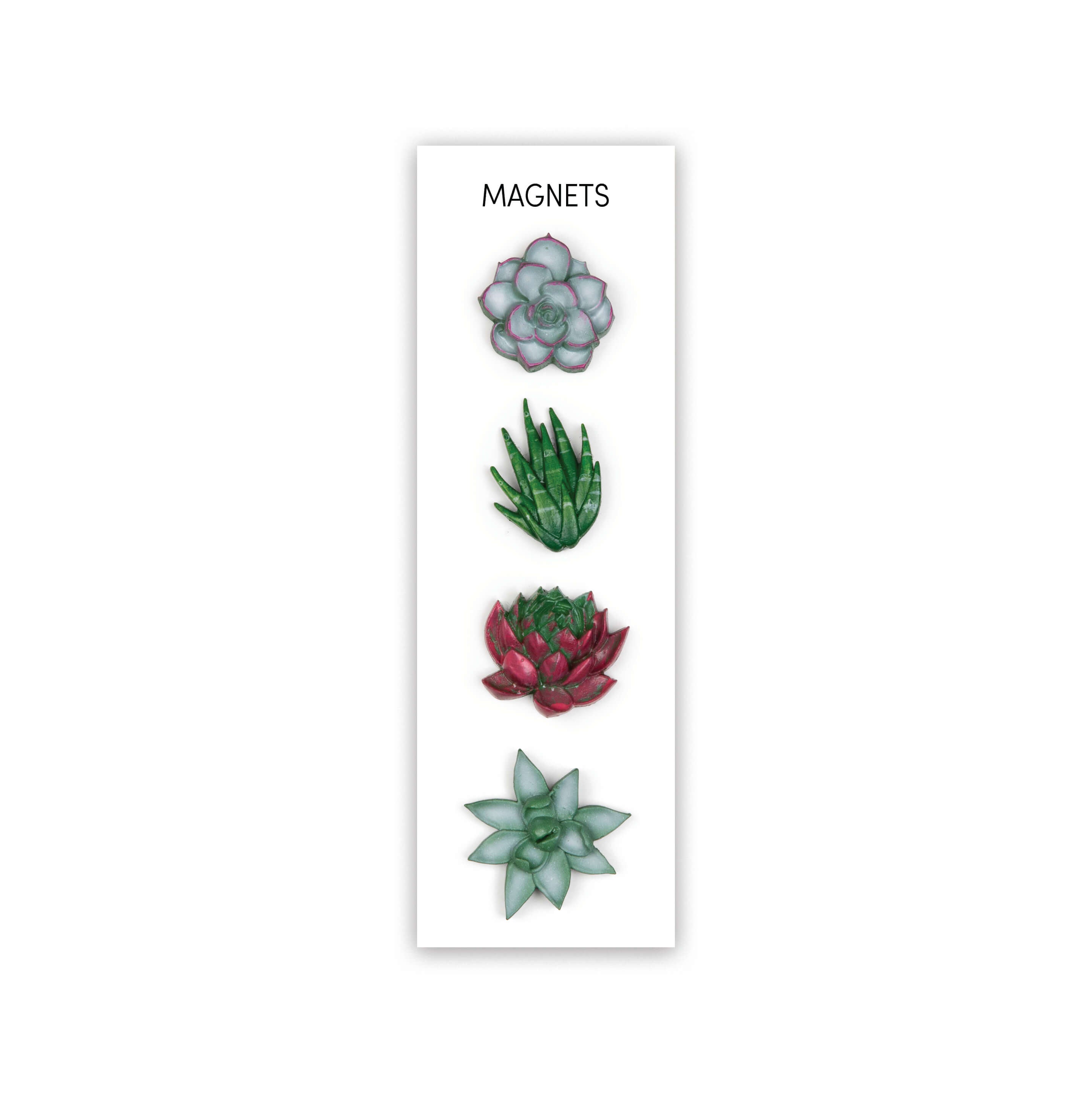 succulent magnets