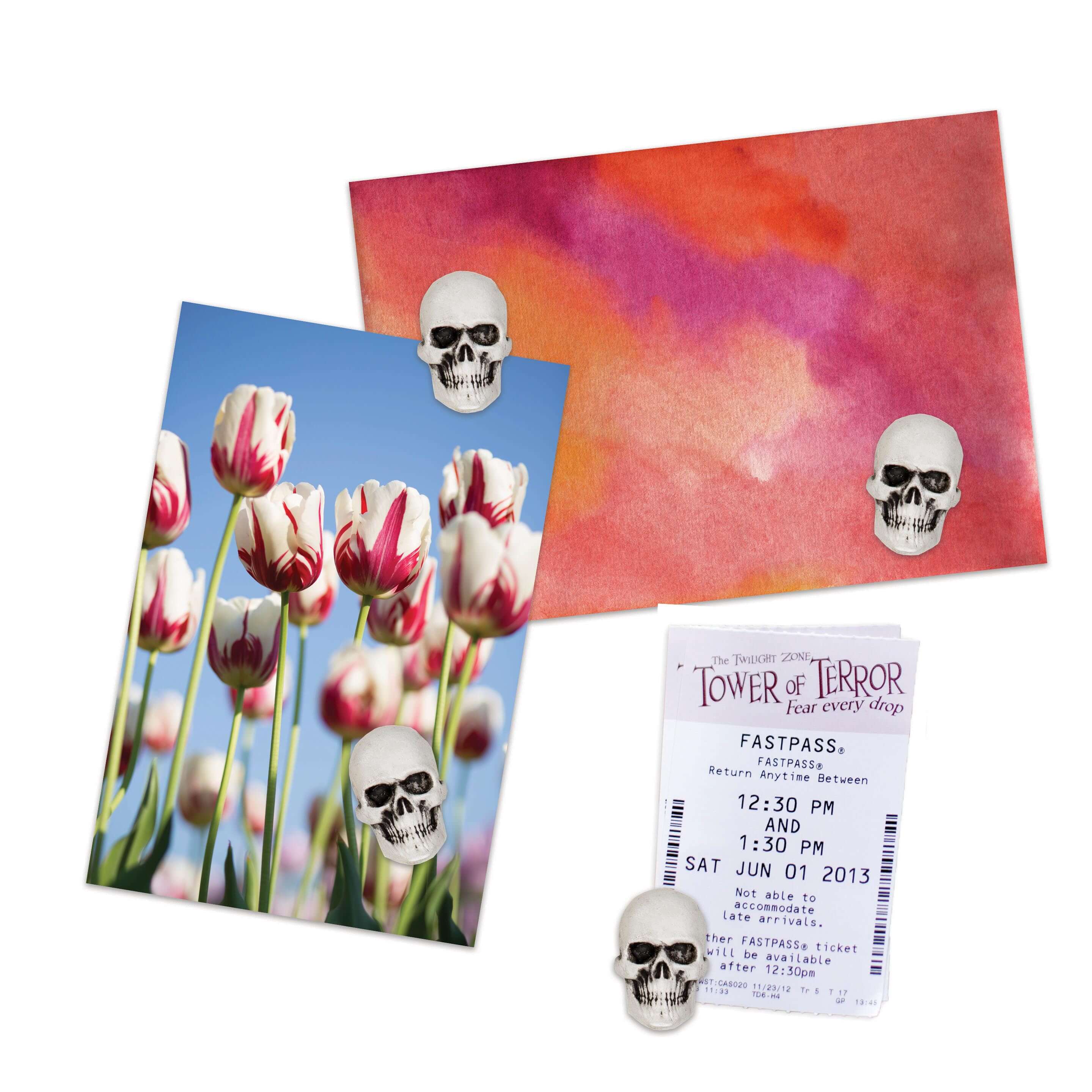 skull magnets