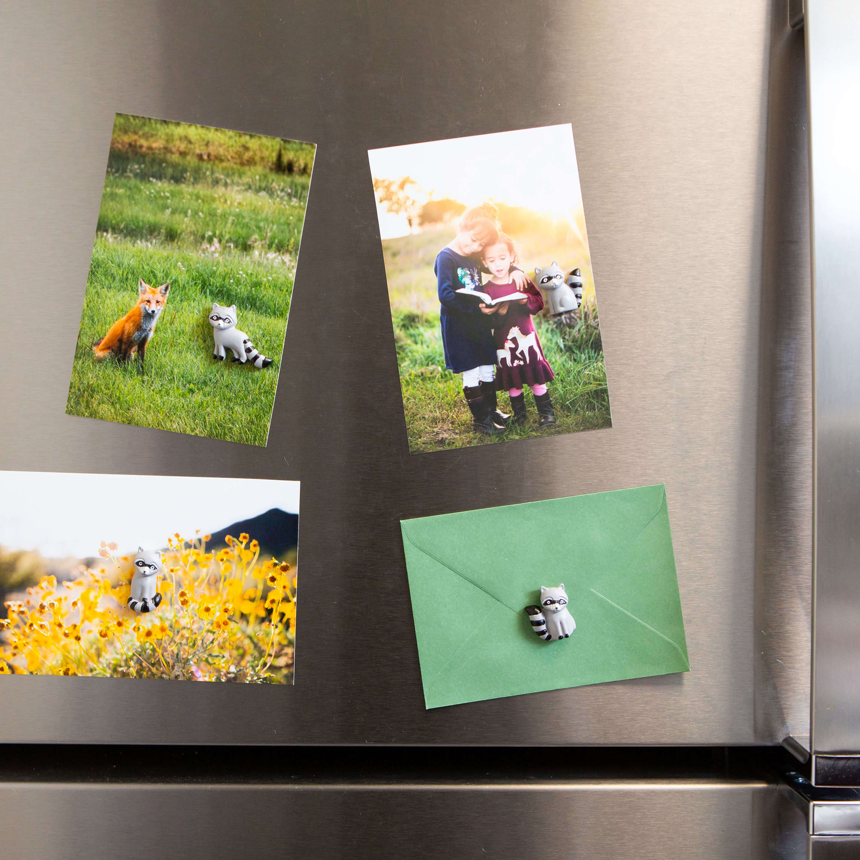 colorful RACOON magnets s/4