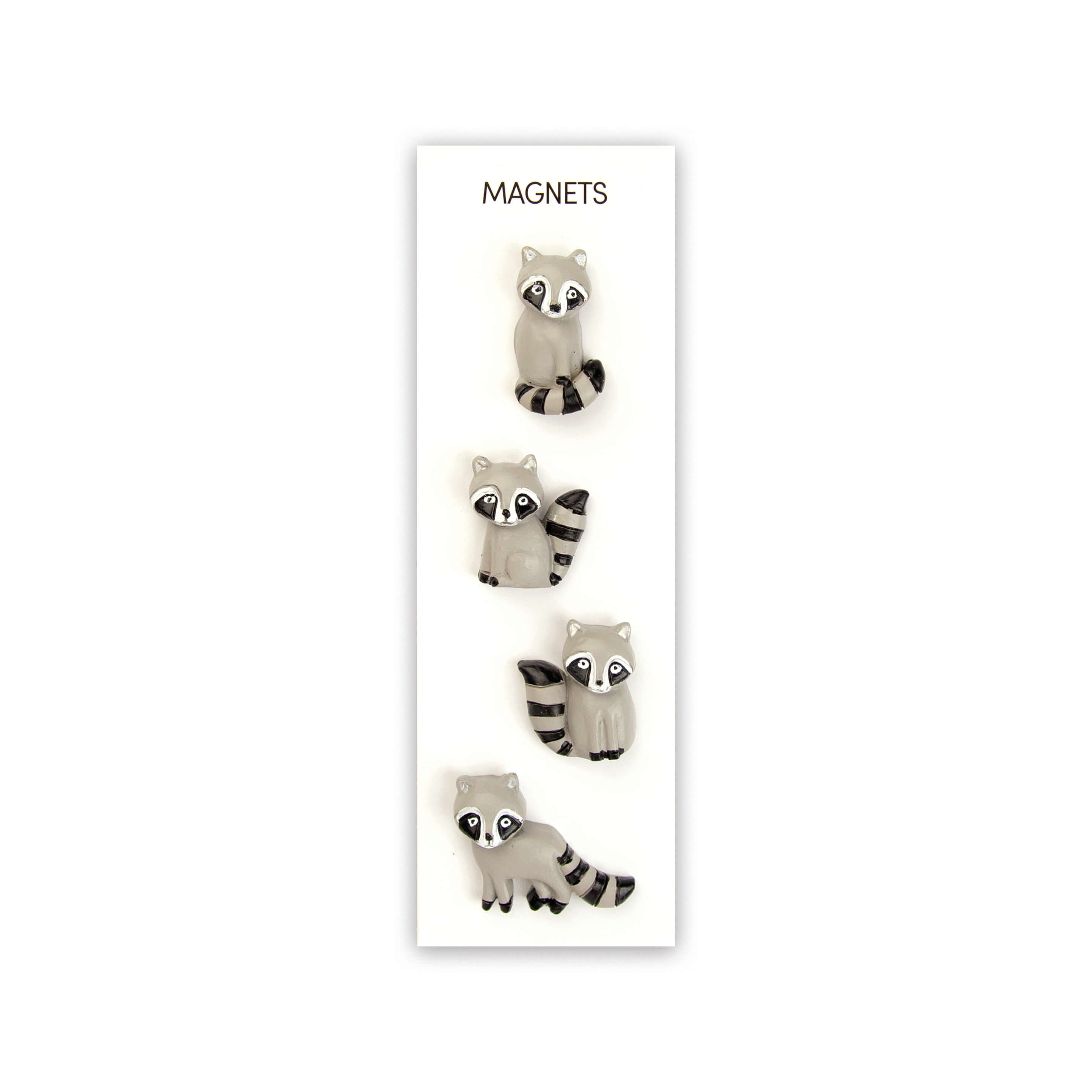 colorful RACOON magnets s/4