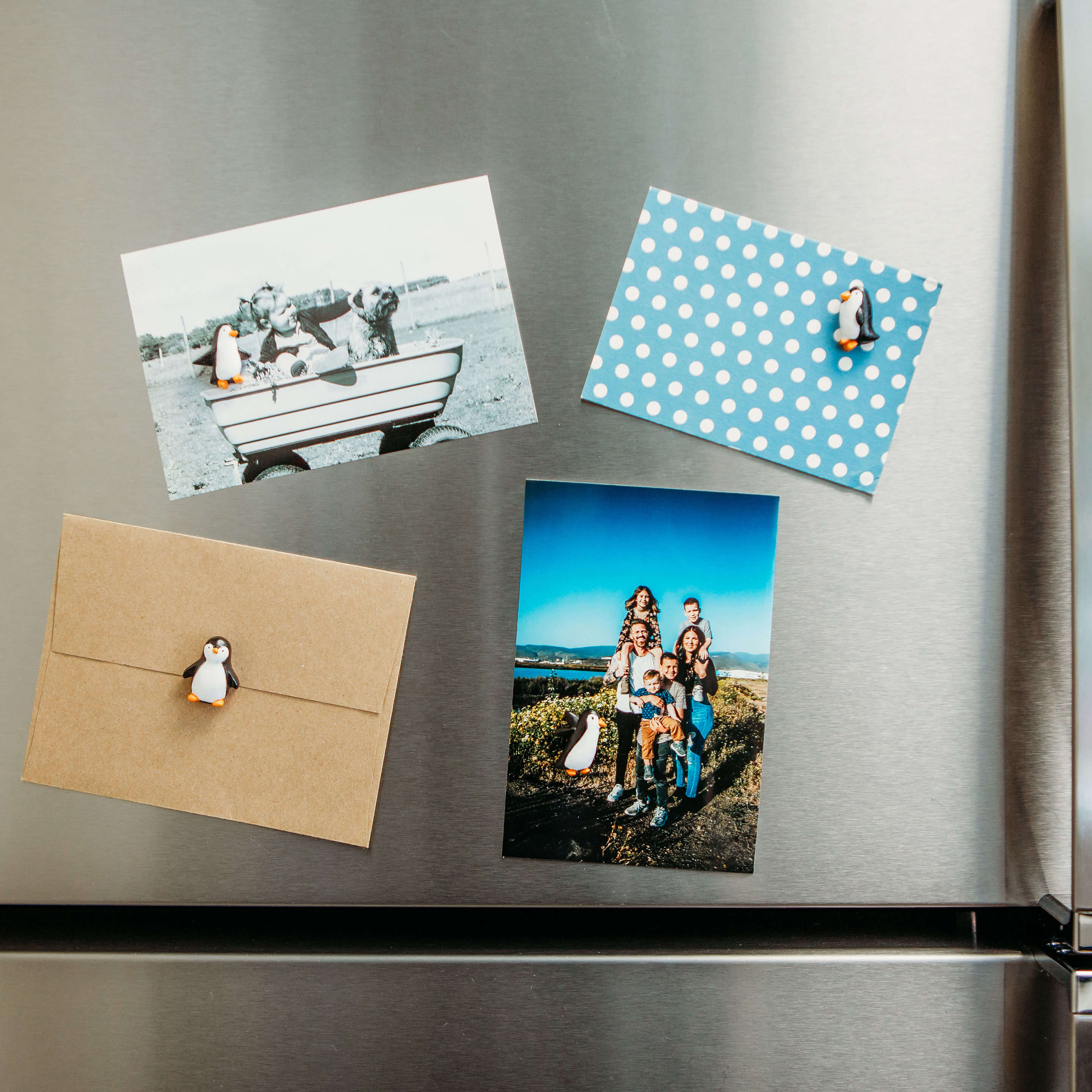 colorful PENGUIN magnets s/4