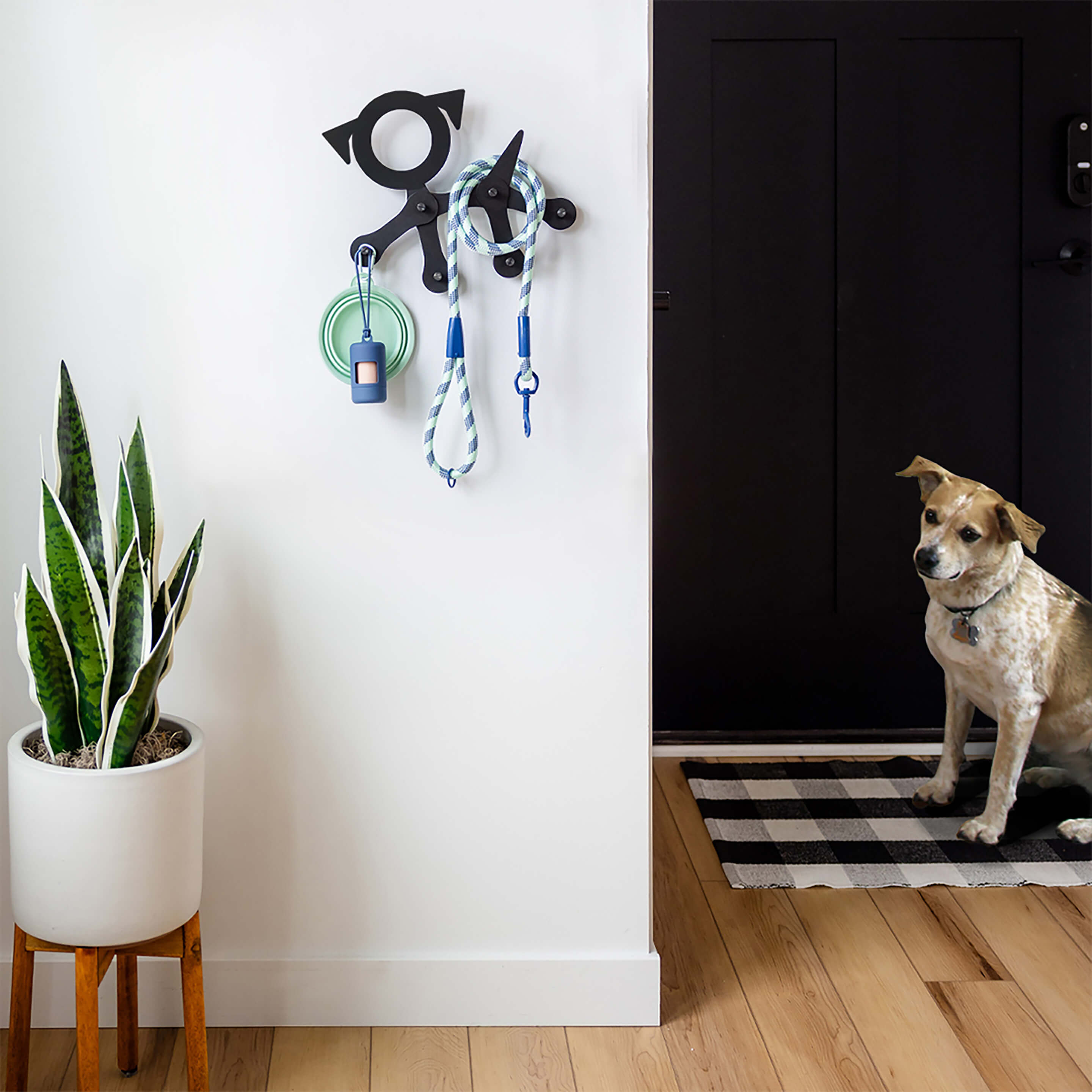 fit·CHECK wall rack dog metal